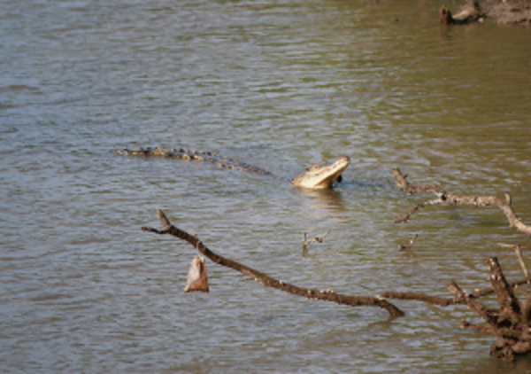 新加坡圣法兰西斯学院寄宿学生一天生活揭秘:丰富多彩的成长体验